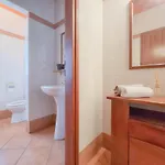 Dani A2+2
